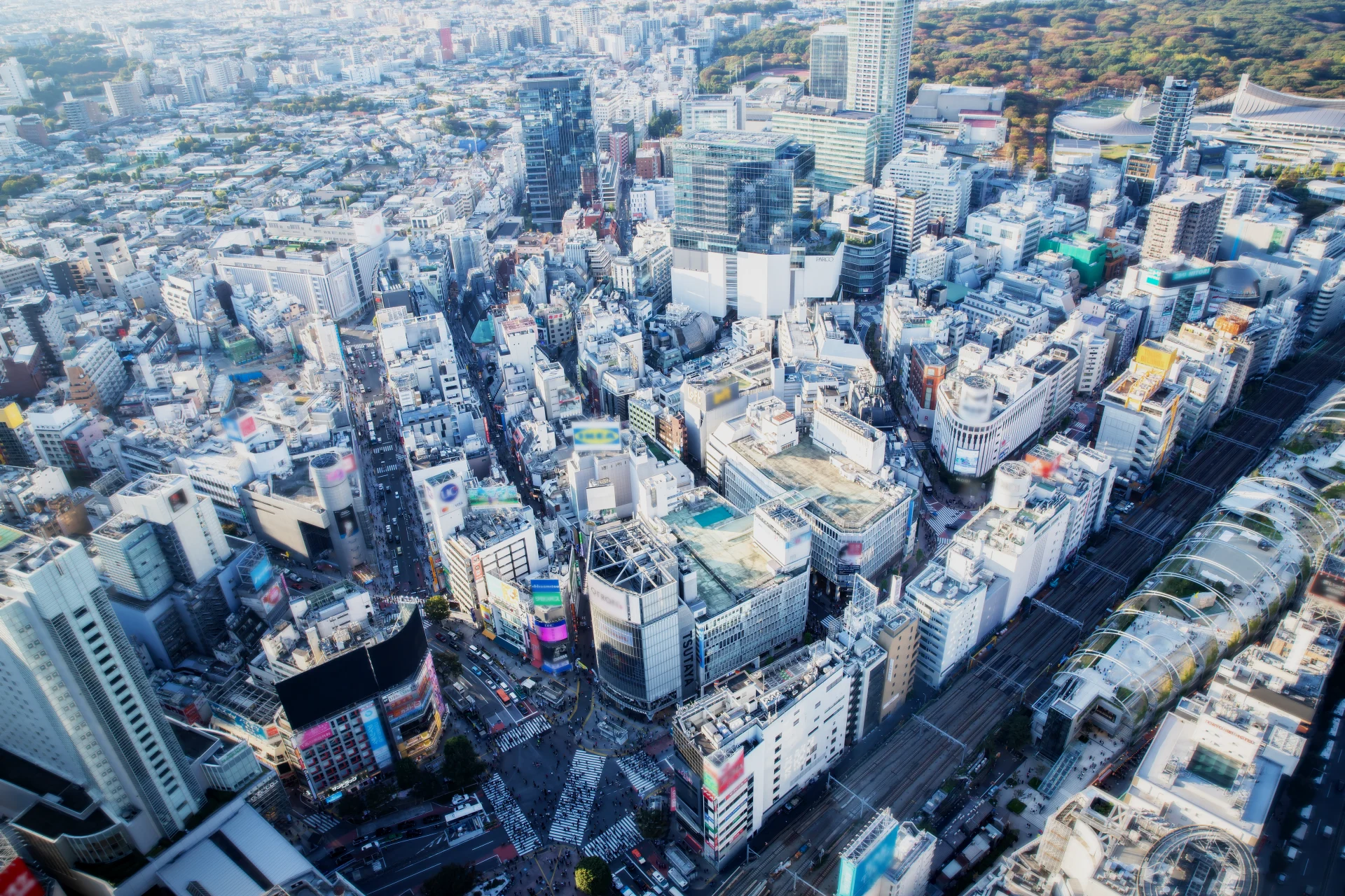 不動産事業